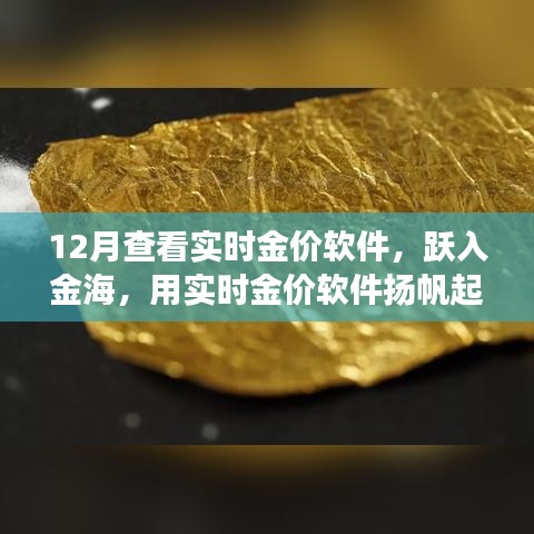 跃入金海，实时金价软件助你扬帆起航，金银财富与自信人生的学习之旅