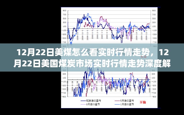 深度解析，美国煤炭市场实时行情走势分析（12月22日）