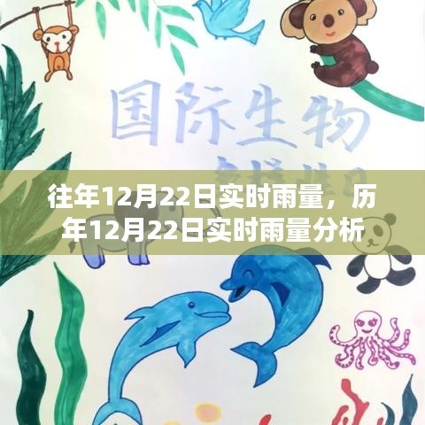 历年12月22日实时雨量分析与比较