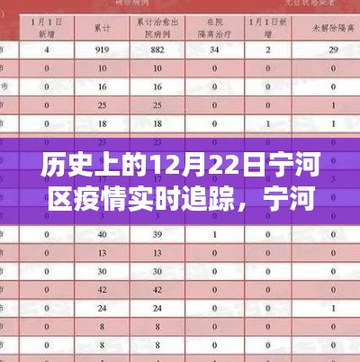 历史上的12月22日宁河区疫情回顾与实时追踪报告