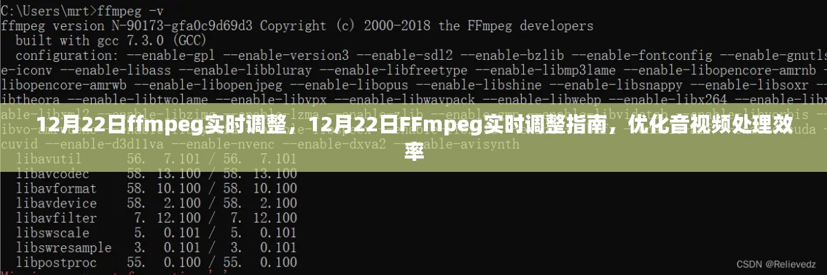 FFmpeg实时调整指南，提高音视频处理效率的优化策略（12月22日）