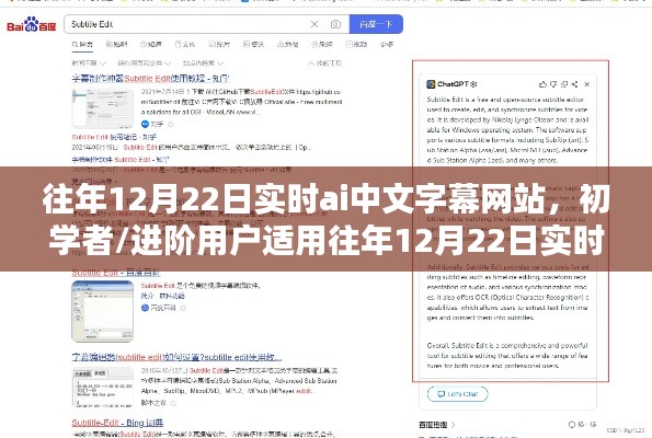 实时AI中文字幕网站使用指南，初学者到进阶用户全面解析