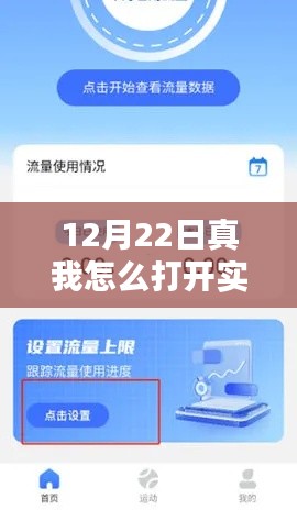 初学者也能轻松掌握！真我手机实时流量开启详细步骤指南（12月22日更新）