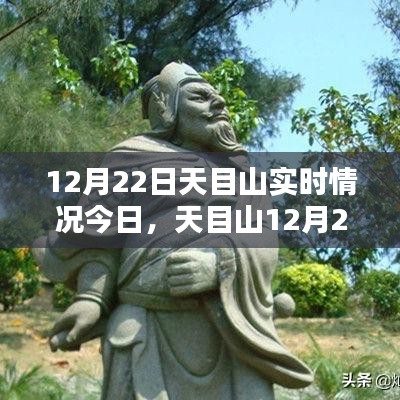 天目山12月22日实时情况探析，某某观点下的深度阐述