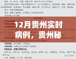 贵州秘境探秘，自然疗愈与寻找内心宁静之旅——实时病例追踪报道