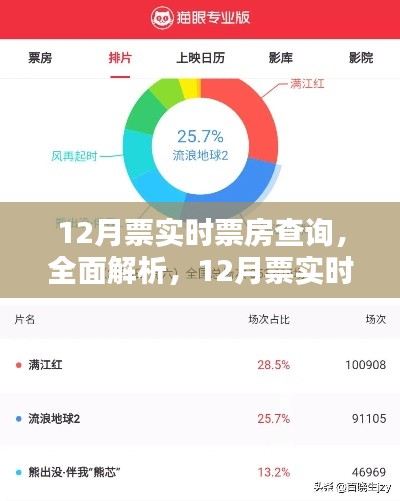 全面解析与深度评测，12月票实时票房查询应用