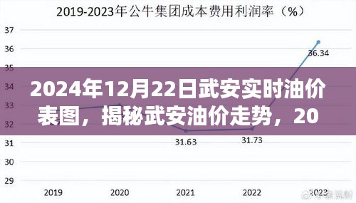 揭秘武安油价走势，最新油价表图与解析（2024年12月22日）