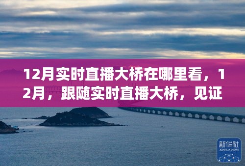 见证力量，12月实时直播大桥，自信成就之光展现变化力量