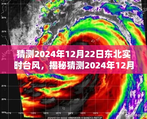 揭秘东北未来台风，关于东北实时台风特性、体验、竞品对比及用户群体分析预测报告（2024年12月22日）