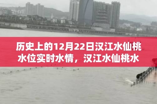 汉江水仙桃水位揭秘，探寻历史特殊水情，实时掌握12月22日水位动态