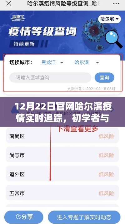 哈尔滨疫情实时追踪指南，从初学者到进阶用户，一键掌握（以12月22日为例）