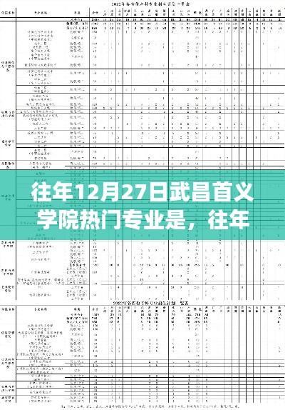 武昌首义学院热门专业深度解读，历年12月27日热门专业概览