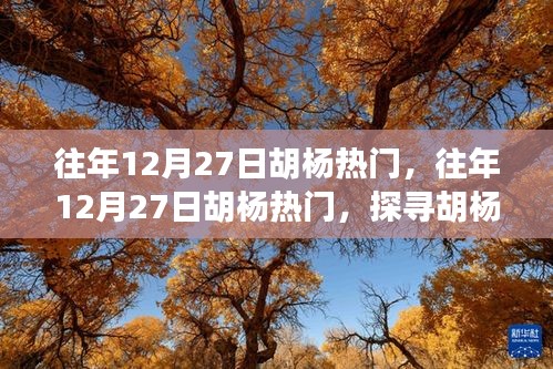 探寻胡杨魅力与热门事件背后的故事，历年12月27日胡杨之旅的热门揭秘