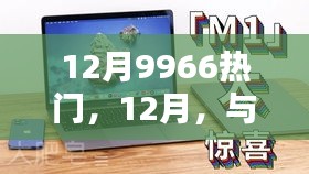 12月与9966共创温馨日常热门话题