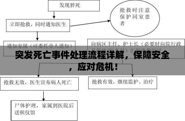 突发死亡事件处理流程详解，保障安全，应对危机！