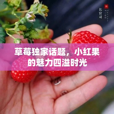 草莓独家话题，小红果的魅力四溢时光