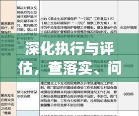 深化执行与评估，查落实、问成效的关键论述解析