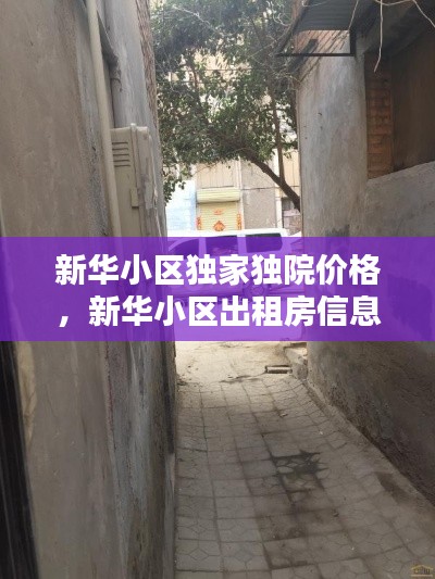 新华小区独家独院价格，新华小区出租房信息 