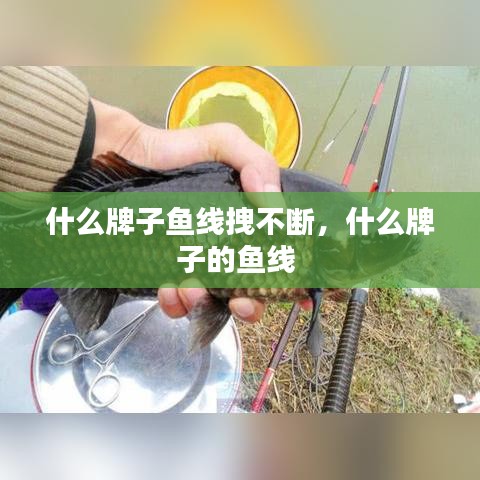 什么牌子鱼线拽不断，什么牌子的鱼线 