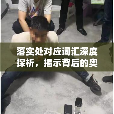 落实处对应词汇深度探析，揭示背后的奥秘