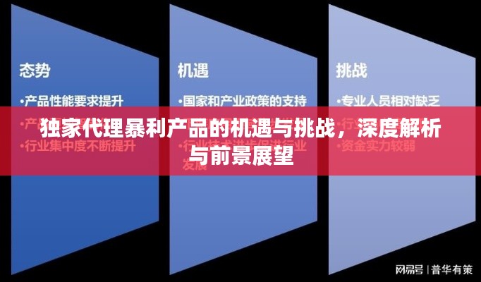 独家代理暴利产品的机遇与挑战，深度解析与前景展望