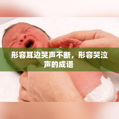 形容耳边哭声不断，形容哭泣声的成语 