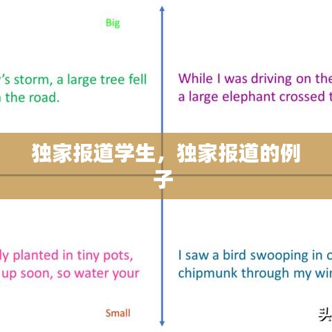 独家报道学生，独家报道的例子 