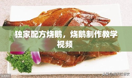 独家配方烧鹅，烧鹅制作教学视频 