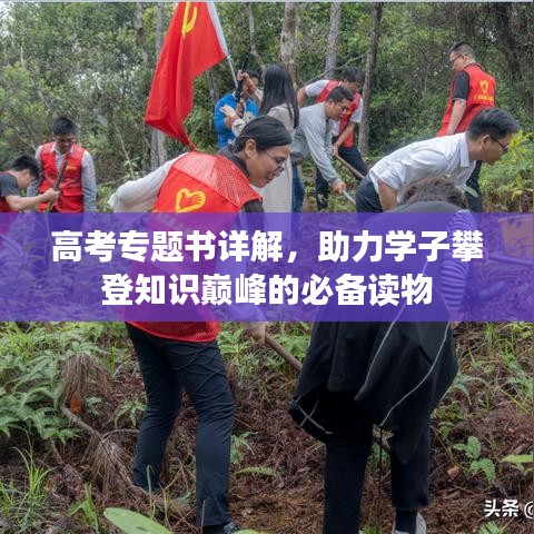 高考专题书详解，助力学子攀登知识巅峰的必备读物