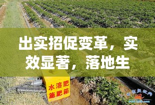 出实招促变革，实效显著，落地生根