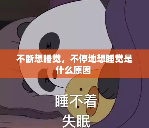 不断想睡觉，不停地想睡觉是什么原因 