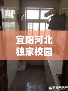 宜阳河北独家校园租房，宜阳河北房价 