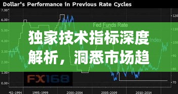 独家技术指标深度解析，洞悉市场趋势的关键秘籍