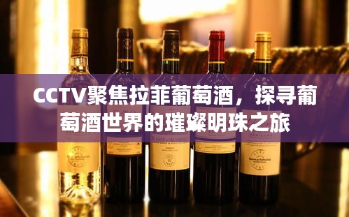 CCTV聚焦拉菲葡萄酒，探寻葡萄酒世界的璀璨明珠之旅