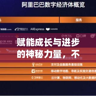 赋能成长与进步的神秘力量，不断升级的增幅书揭秘