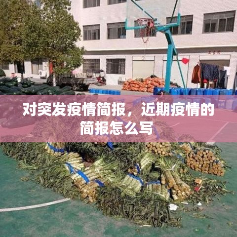 对突发疫情简报，近期疫情的简报怎么写 