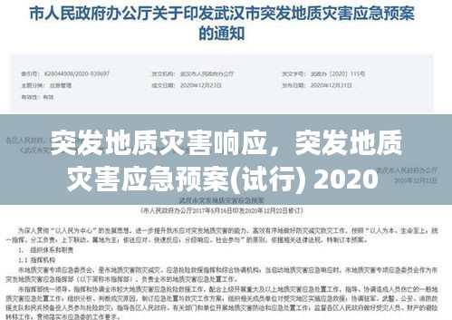 突发地质灾害响应，突发地质灾害应急预案(试行) 2020 