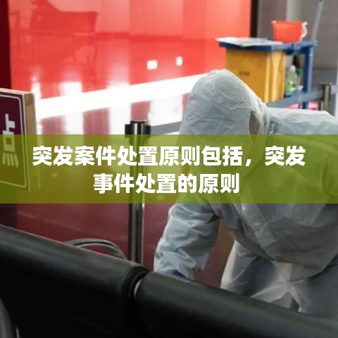 突发案件处置原则包括，突发事件处置的原则 