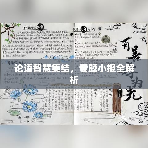 论语智慧集结，专题小报全解析