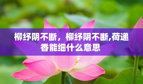 柳纾阴不断，柳纾阴不断,荷递香能细什么意思 