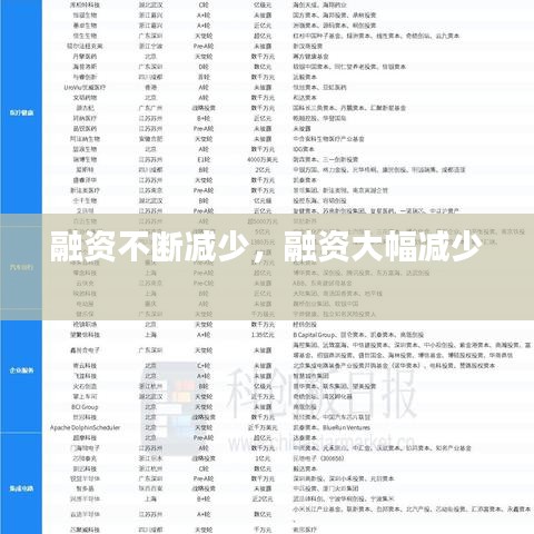 融资不断减少，融资大幅减少 