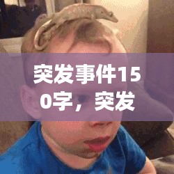 突发事件150字，突发事件作文500字 