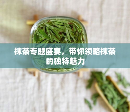 抹茶专题盛宴，带你领略抹茶的独特魅力