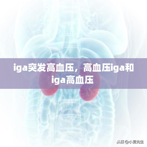 iga突发高血压，高血压iga和iga高血压 