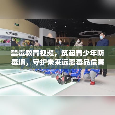 禁毒教育视频，筑起青少年防毒墙，守护未来远离毒品危害