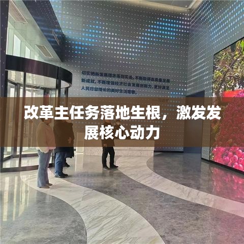 改革主任务落地生根，激发发展核心动力