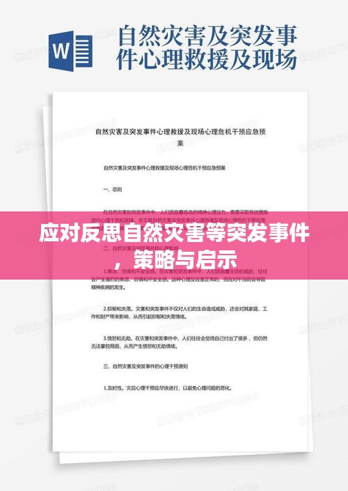 应对反思自然灾害等突发事件，策略与启示