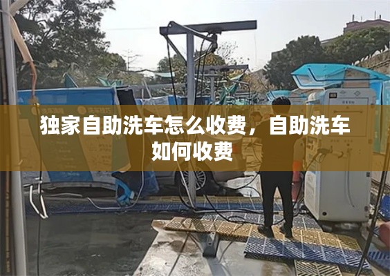 独家自助洗车怎么收费，自助洗车如何收费 