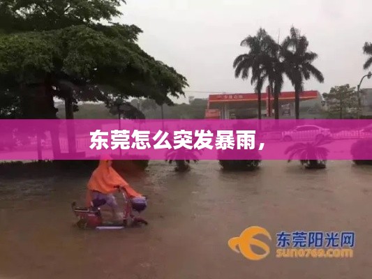 东莞怎么突发暴雨， 