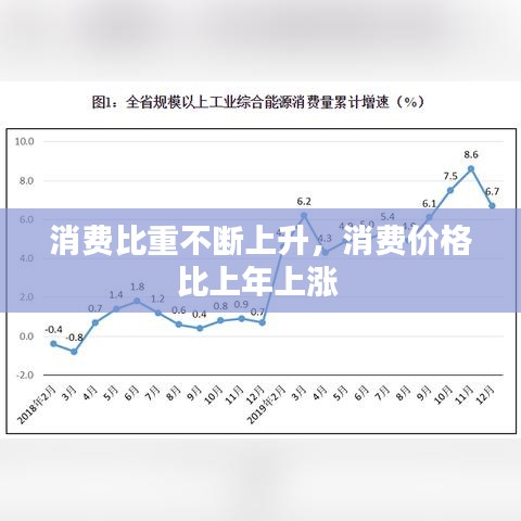 消费比重不断上升，消费价格比上年上涨 